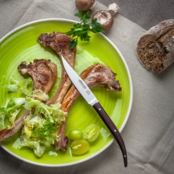 Coffret 4 Couteaux à Steak 11 Cm Lame Lisse Acier Inoxydable Arcos -Peugeot boutique coffret 4 couteaux a steak 11 cm lame lisse acier inoxydable arcos 2