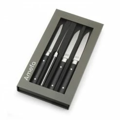 Coffret 4 Couteaux Steak Fusion 22 Cm Amefa -Peugeot boutique coffret 4 couteaux steak fusion 22 cm amefa 2