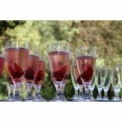 FIN DE SERIE Fleur Hibiscus Comestible (x2) Le Comptoir Colonial -Peugeot boutique fin de serie fleur hibiscus comestible x2 le comptoir colonial 2